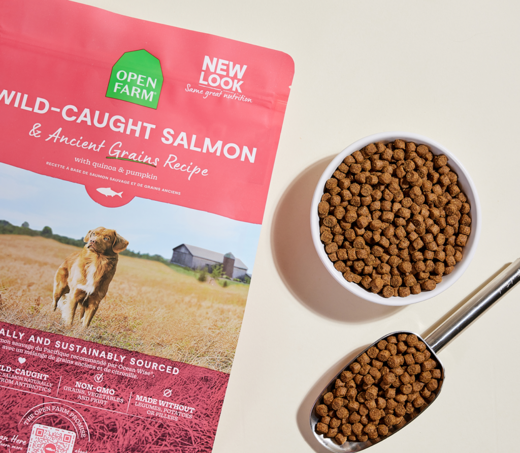 Are Ancient Grains Good for Dogs