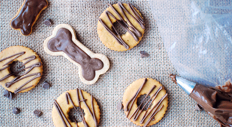 Are Carob Chips Safe for Dogs