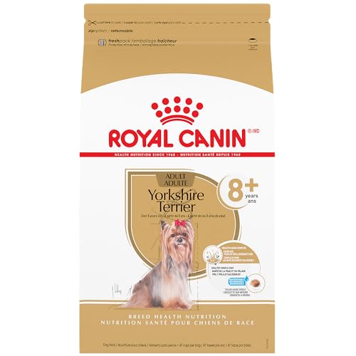 Best Dog Food for Older Yorkies