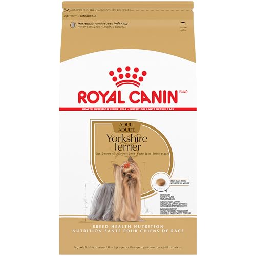 Best Dog Food for Rat Terrier