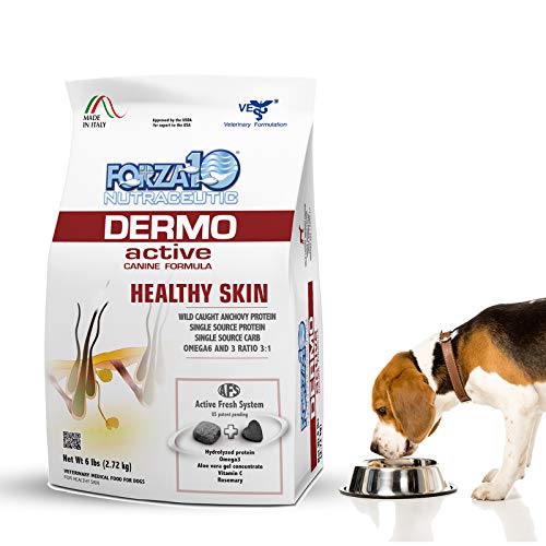 Best Dog Food for Seborrheic Dermatitis