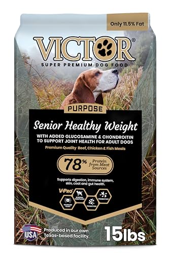 Best Dog Food for Senior Labrador Retrievers