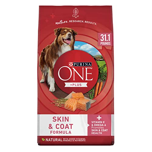 Best Dog Food for Skin Allergies