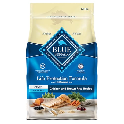 Best Food for Dogs