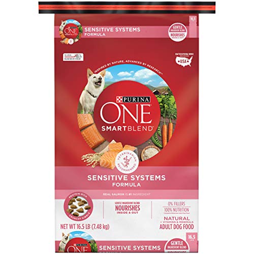 Best Dry Dog Food for Skin Allergies