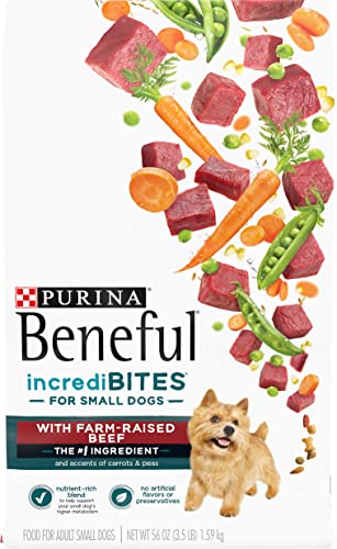 Best Dry Dog Food for Small Dogs