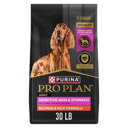 Best Food for Dogs With Allergies